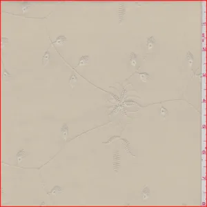Buff Embroidered Eyelet Fabric
