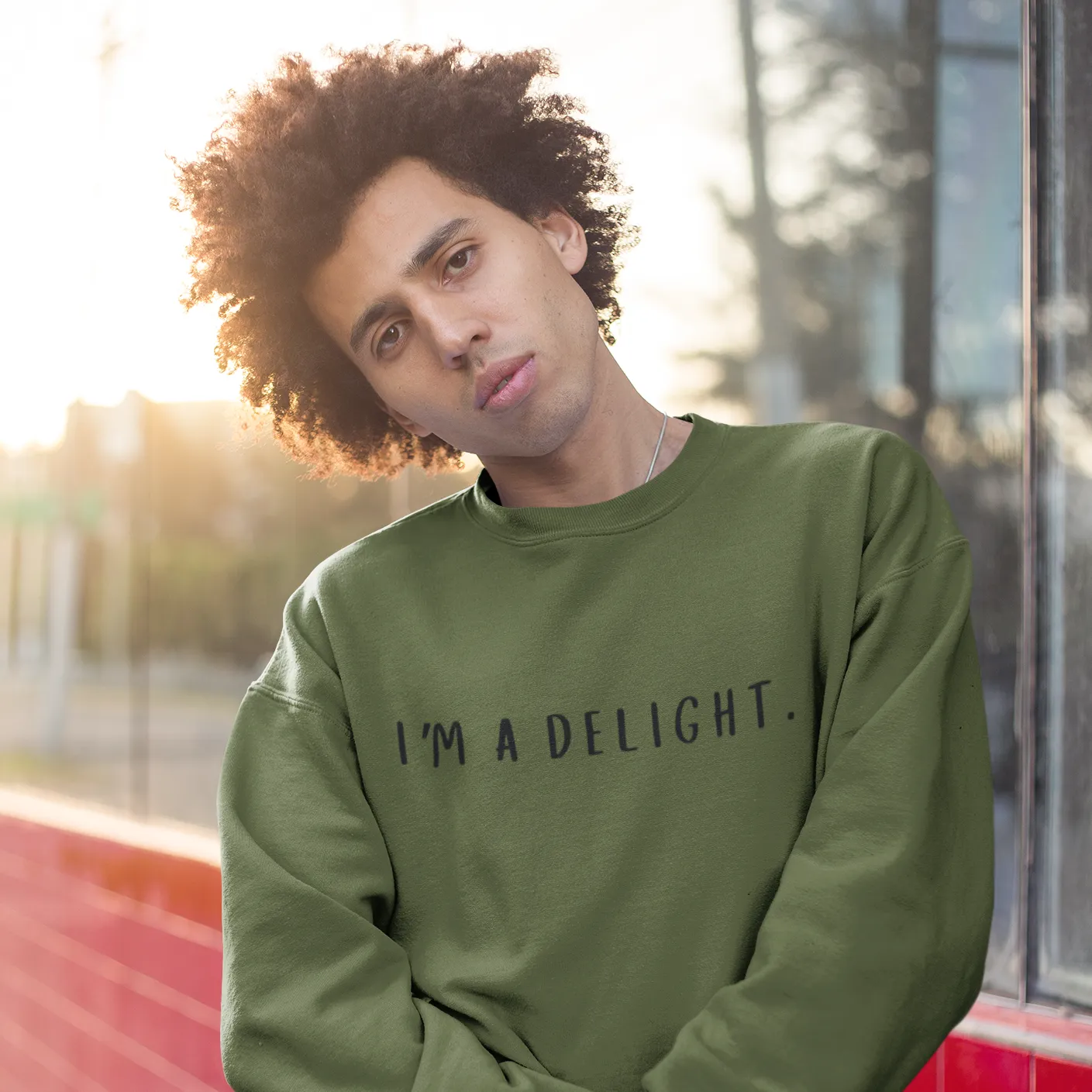 I'm a Delight, Printed Sweatshirt, Funny Sayings Shirt, Funny Crewneck Sweatshirt, Woman's Sweatshirt, Men's Sweatshirt, Funny Sweatshirt