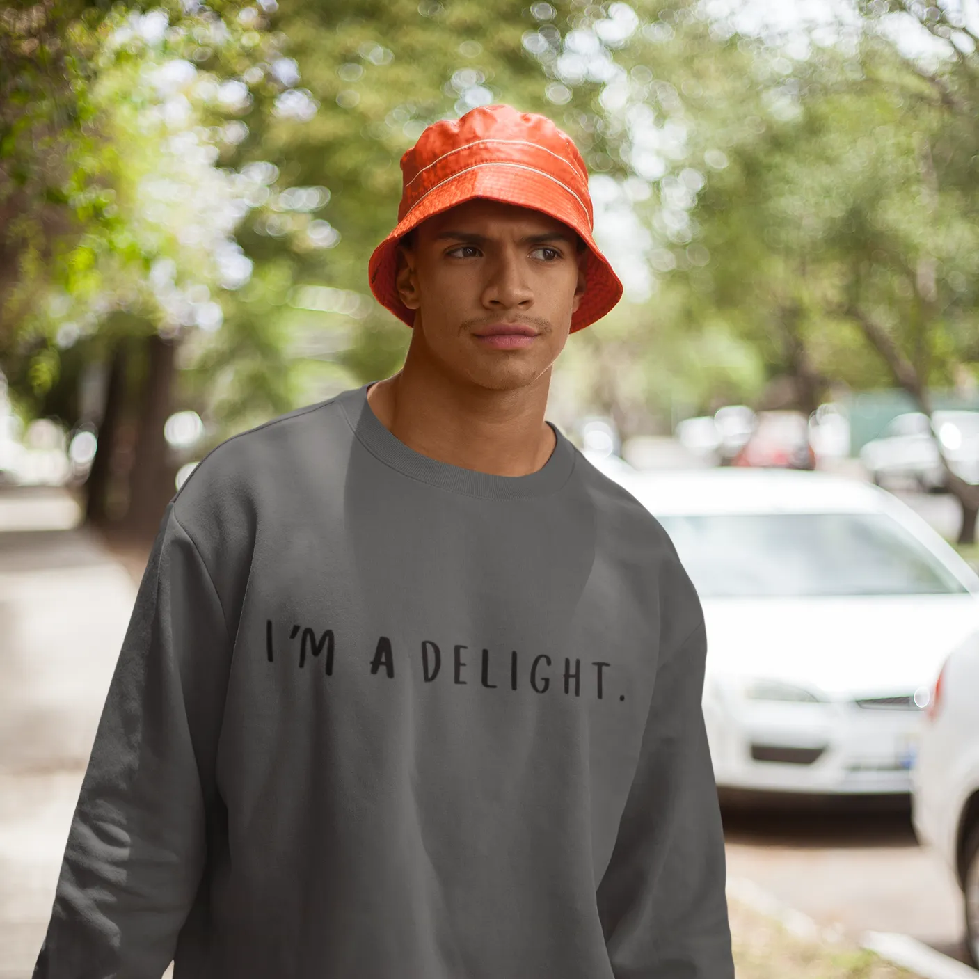 I'm a Delight, Printed Sweatshirt, Funny Sayings Shirt, Funny Crewneck Sweatshirt, Woman's Sweatshirt, Men's Sweatshirt, Funny Sweatshirt