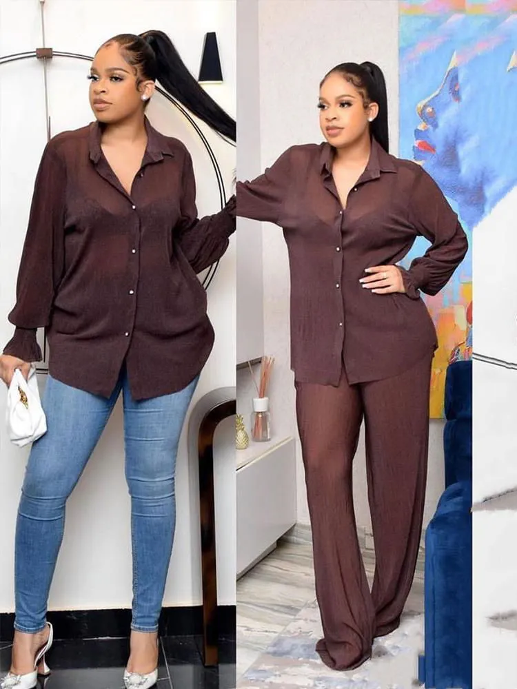 Professional 2Pcs Silky Mesh Shirt & Pants Suits