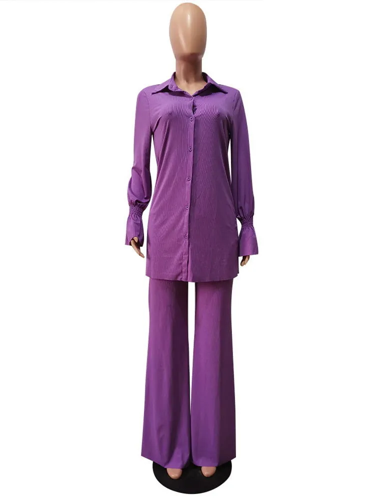 Professional 2Pcs Silky Mesh Shirt & Pants Suits