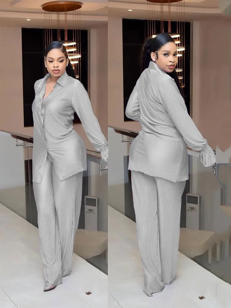 Professional 2Pcs Silky Mesh Shirt & Pants Suits