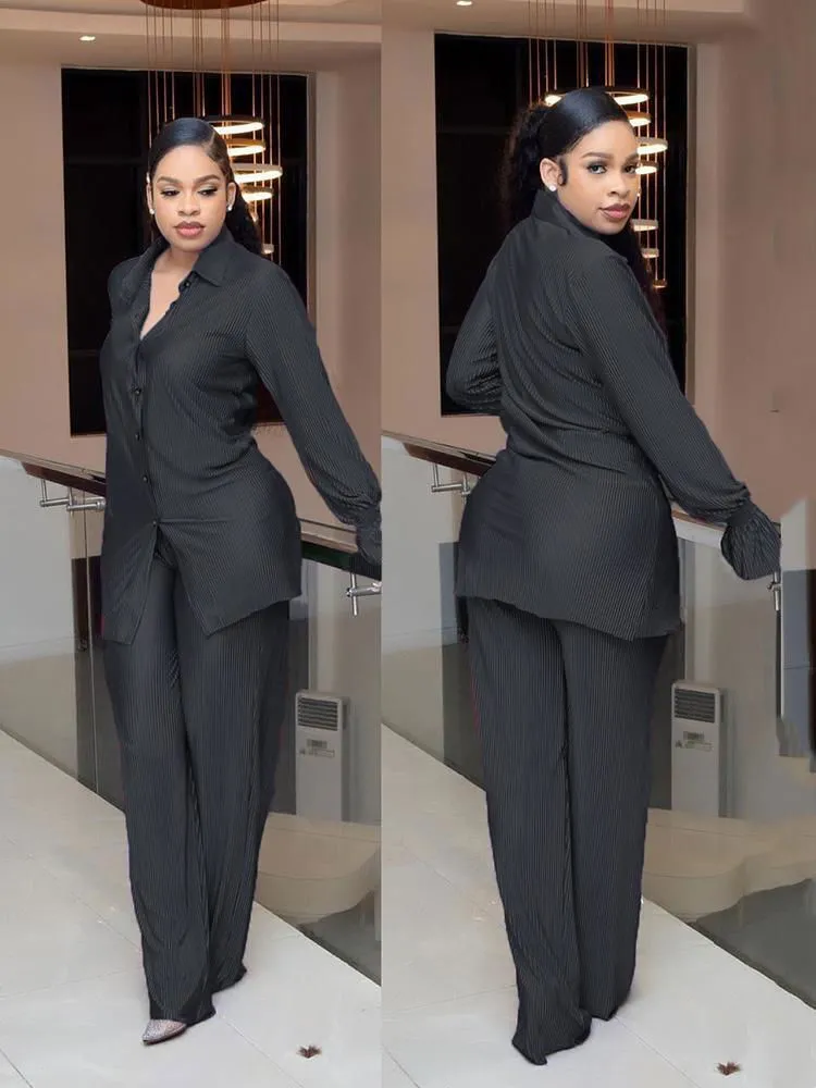 Professional 2Pcs Silky Mesh Shirt & Pants Suits