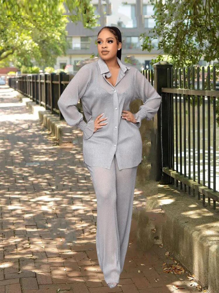 Professional 2Pcs Silky Mesh Shirt & Pants Suits